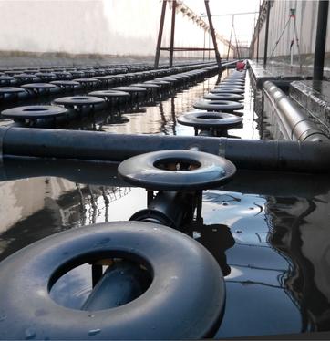 Биологическая очистка